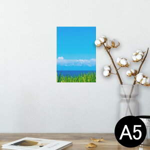 |X^[ EH[XebJ[ V[XebJ[  148×210mm A5 ʐ^ tHg  CeA   wall sticker poster 009748 i@@C@ʐ^