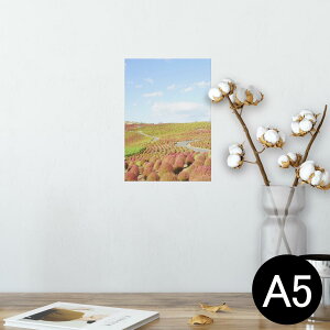 |X^[ EH[XebJ[ V[XebJ[  148×210mm A5 ʐ^ tHg  CeA   wall sticker poster 009816 i@iF@ʐ^