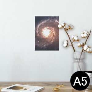 |X^[ EH[XebJ[ V[XebJ[  148×210mm A5 ʐ^ tHg  CeA   wall sticker poster 010185 @F@i