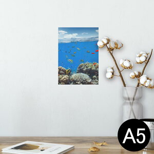 海 おしゃれ 写真の人気商品 通販 価格比較 価格 Com