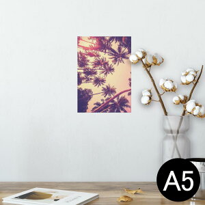 |X^[ EH[XebJ[ V[XebJ[  148×210mm A5 ʐ^ tHg  CeA   wall sticker poster 011308 ā@V̖؁@[