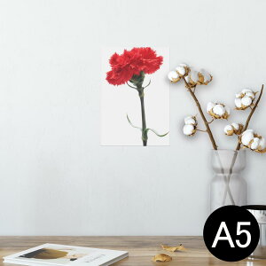 |X^[ EH[XebJ[ V[XebJ[  148×210mm A5 ʐ^ tHg  CeA   wall sticker poster 012928 ̓@J[l[V@