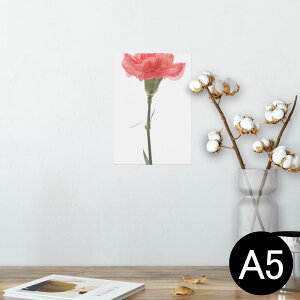 |X^[ EH[XebJ[ V[XebJ[  148×210mm A5 ʐ^ tHg  CeA   wall sticker poster 012935 ̓@J[l[V@