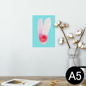 |X^[ EH[XebJ[ V[XebJ[  148×210mm A5 ʐ^ tHg  CeA   wall sticker poster 014056 ԁ@sN