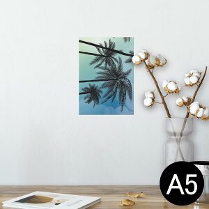 |X^[ EH[XebJ[ V[XebJ[  148×210mm A5 ʐ^ tHg  CeA   wall sticker poster 014367 V̖؁@gsJ