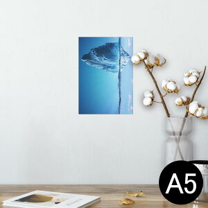 |X^[ EH[XebJ[ V[XebJ[  148×210mm A5 ʐ^ tHg  CeA   wall sticker poster 014978 iF@R@i@CXg@_@C