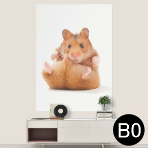 |XebJ[ |X^[ EH[XebJ[ V[XebJ[  1030mm×1456mm B0 ʐ^ tHg  CeA   wall sticker poster 001075 nX^[@