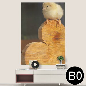 TCYIׂI|X^[ EH[XebJ[ V[XebJ[  A0 A1 A2 A3 A4 A5 B0 B1 B2 B3 B4 B5 ʐ^ tHg  CeA  wall sticker poster 033401 A[g  C H t