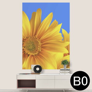 |XebJ[ |X^[ EH[XebJ[ V[XebJ[  1030mm×1456mm B0 ʐ^ tHg  CeA   wall sticker poster 001397 Ђ܂