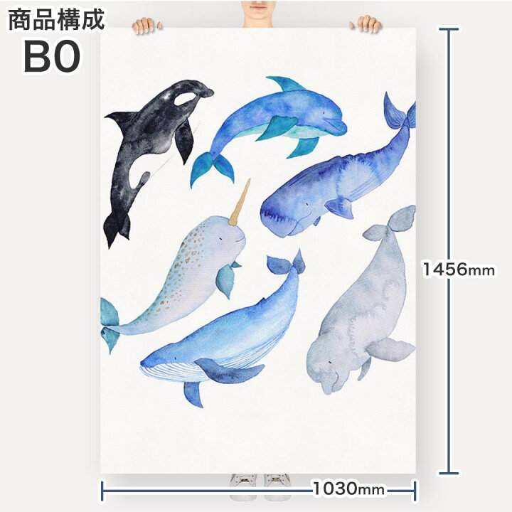 楽天市場 ポステッカー ポスター ウォールステッカー シール式ステッカー 飾り 1030mm 1456mm B0 写真 フォト 壁 インテリア おしゃれ 剥がせる Wall Sticker Poster 0156 魚 海 くじら シャチ Kabeコレ 楽天市場 ポステッカー ポスター ウォールステッカー シール式ステッカー 飾り 1030mm 1456mm B0 写真 フォト 壁 インテリア おしゃれ 剥がせる Wall Sticker Poster 0156 魚 海 くじら シャチ Kabeコレ