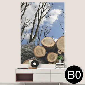 TCYIׂI|X^[ EH[XebJ[ V[XebJ[  A0 A1 A2 A3 A4 A5 B0 B1 B2 B3 B4 B5 ʐ^ tHg  CeA  wall sticker poster 033401 A[g  C H t