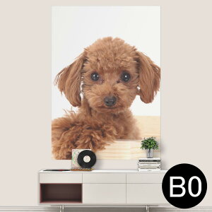 �T�C�Y���I�ׂ�I�|�X�^�[ �E�H�[���X�e�b�J�[ �V�[�����X�e�b�J�[ ���� A0 A1 A2 A3 A4 A5 B0 B1 B2 B3 B4 B5 �ʐ^ �t�H�g �� �C���e���A ������� ��������wall sticker poster 033401 �A�[�g ���� �C �H �t��