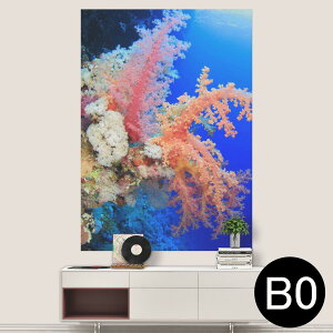 |XebJ[ |X^[ EH[XebJ[ V[XebJ[  1030mm×1456mm B0 ʐ^ tHg  CeA   wall sticker poster 003341 C@ʐ^@iF@i
