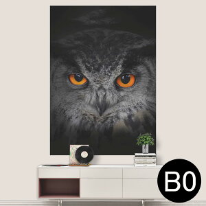 TCYIׂI|X^[ EH[XebJ[ V[XebJ[  A0 A1 A2 A3 A4 A5 B0 B1 B2 B3 B4 B5 ʐ^ tHg  CeA  wall sticker poster 033401 A[g  C H t