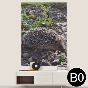 TCYIׂI|X^[ EH[XebJ[ V[XebJ[  A0 A1 A2 A3 A4 A5 B0 B1 B2 B3 B4 B5 ʐ^ tHg  CeA  wall sticker poster 033401 A[g  C nl