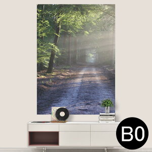 TCYIׂI|X^[ EH[XebJ[ V[XebJ[  A0 A1 A2 A3 A4 A5 B0 B1 B2 B3 B4 B5 ʐ^ tHg  CeA  wall sticker poster 033401 A[g  C i@