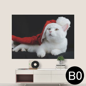 |XebJ[ |X^[ EH[XebJ[ V[XebJ[  1030mm×1456mm B0 ʐ^ tHg  CeA   wall sticker poster 023088 L@ʐ^@NX}X@T^N[