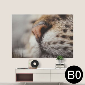 TCYIׂI|X^[ EH[XebJ[ V[XebJ[  A0 A1 A2 A3 A4 A5 B0 B1 B2 B3 B4 B5 ʐ^ tHg  CeA  wall sticker poster 033401 A[g  C L@