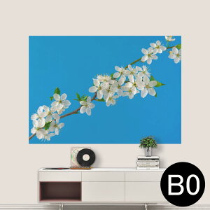 TCYIׂI|X^[ EH[XebJ[ V[XebJ[  A0 A1 A2 A3 A4 A5 B0 B1 B2 B3 B4 B5 ʐ^ tHg  CeA  wall sticker poster 033401 A[g  C ԁ@