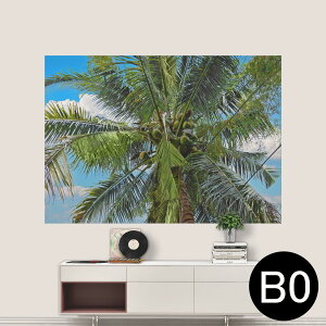 |XebJ[ |X^[ EH[XebJ[ V[XebJ[  1030mm×1456mm B0 ʐ^ tHg  CeA   wall sticker poster 023141 V̖؁@ā@R