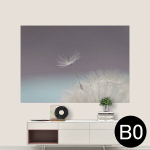 TCYIׂI|X^[ EH[XebJ[ V[XebJ[  A0 A1 A2 A3 A4 A5 B0 B1 B2 B3 B4 B5 ʐ^ tHg  CeA  wall sticker poster 033401 A[g  C 