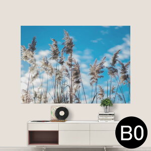 TCYIׂI|X^[ EH[XebJ[ V[XebJ[  A0 A1 A2 A3 A4 A5 B0 B1 B2 B3 B4 B5 ʐ^ tHg  CeA  wall sticker poster 033401 A[g  C ʐ^@