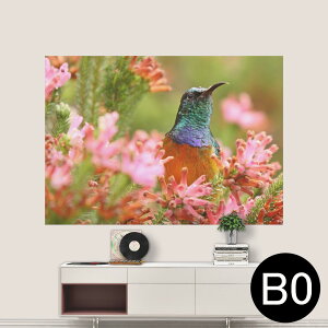 �T�C�Y���I�ׂ�I�|�X�^�[ �E�H�[���X�e�b�J�[ �V�[�����X�e�b�J�[ ���� A0 A1 A2 A3 A4 A5 B0 B1 B2 B3 B4 B5 �ʐ^ �t�H�g �� �C���e���A ������� ��������wall sticker poster 033401 �A�[�g ���� �C ���@��