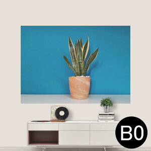 |XebJ[ |X^[ EH[XebJ[ V[XebJ[  1030mm×1456mm B0 ʐ^ tHg  CeA   wall sticker poster 023685 A@A