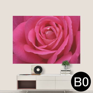 TCYIׂI|X^[ EH[XebJ[ V[XebJ[  A0 A1 A2 A3 A4 A5 B0 B1 B2 B3 B4 B5 ʐ^ tHg  CeA  wall sticker poster 033401 A[g  C ԁ@t