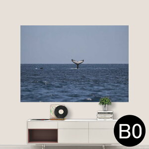 TCYIׂI|X^[ EH[XebJ[ V[XebJ[  A0 A1 A2 A3 A4 A5 B0 B1 B2 B3 B4 B5 ʐ^ tHg  CeA  wall sticker poster 033401 A[g  C 