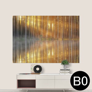 TCYIׂI|X^[ EH[XebJ[ V[XebJ[  A0 A1 A2 A3 A4 A5 B0 B1 B2 B3 B4 B5 ʐ^ tHg  CeA  wall sticker poster 033401 A[g  C Xс@