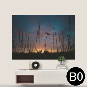 TCYIׂI|X^[ EH[XebJ[ V[XebJ[  A0 A1 A2 A3 A4 A5 B0 B1 B2 B3 B4 B5 ʐ^ tHg  CeA  wall sticker poster 033401 A[g  C i@