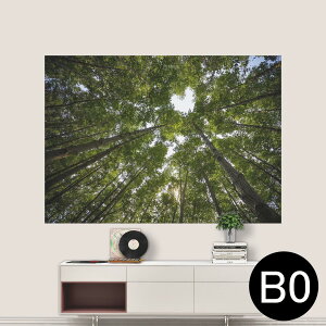 |XebJ[ |X^[ EH[XebJ[ V[XebJ[  1030mm×1456mm B0 ʐ^ tHg  CeA   wall sticker poster 025739 R@Xс@؁@n[g
