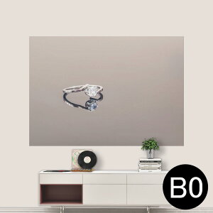 |XebJ[ |X^[ EH[XebJ[ V[XebJ[  1030mm×1456mm B0 ʐ^ tHg  CeA   wall sticker poster 025750 wց@WG[@t@bV