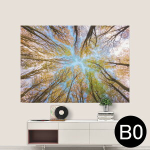 TCYIׂI|X^[ EH[XebJ[ V[XebJ[  A0 A1 A2 A3 A4 A5 B0 B1 B2 B3 B4 B5 ʐ^ tHg  CeA  wall sticker poster 033401 A[g  C Xс@