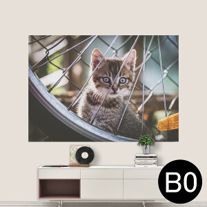 TCYIׂI|X^[ EH[XebJ[ V[XebJ[  A0 A1 A2 A3 A4 A5 B0 B1 B2 B3 B4 B5 ʐ^ tHg  CeA  wall sticker poster 033401 A[g  C @