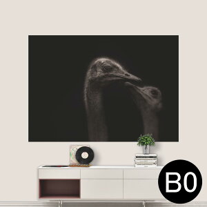 TCYIׂI|X^[ EH[XebJ[ V[XebJ[  A0 A1 A2 A3 A4 A5 B0 B1 B2 B3 B4 B5 ʐ^ tHg  CeA  wall sticker poster 033401 A[g  C @