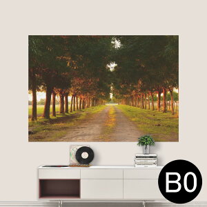 TCYIׂI|X^[ EH[XebJ[ V[XebJ[  A0 A1 A2 A3 A4 A5 B0 B1 B2 B3 B4 B5 ʐ^ tHg  CeA  wall sticker poster 033401 A[g  C i@