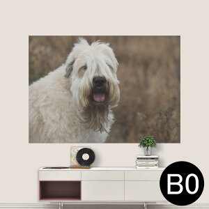 TCYIׂI|X^[ EH[XebJ[ V[XebJ[  A0 A1 A2 A3 A4 A5 B0 B1 B2 B3 B4 B5 ʐ^ tHg  CeA  wall sticker poster 033401 A[g  C @