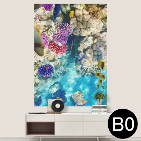 楽天市場 珊瑚 インテリアの通販 楽天市場 珊瑚 インテリアの通販