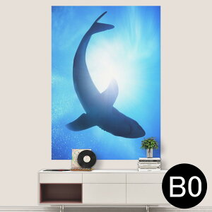 |XebJ[ |X^[ EH[XebJ[ V[XebJ[  1030mm×1456mm B0 ʐ^ tHg  CeA   wall sticker poster 012652 @@C
