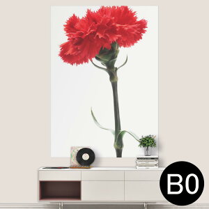|XebJ[ |X^[ EH[XebJ[ V[XebJ[  1030mm×1456mm B0 ʐ^ tHg  CeA   wall sticker poster 012928 ̓@J[l[V@