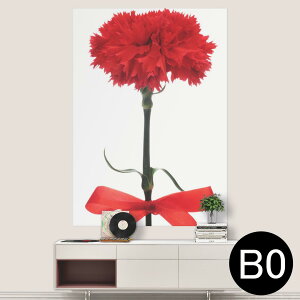 |XebJ[ |X^[ EH[XebJ[ V[XebJ[  1030mm×1456mm B0 ʐ^ tHg  CeA   wall sticker poster 012929 ̓@J[l[V@