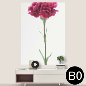 |XebJ[ |X^[ EH[XebJ[ V[XebJ[  1030mm×1456mm B0 ʐ^ tHg  CeA   wall sticker poster 012933 ̓@J[l[V@