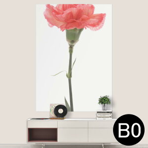 |XebJ[ |X^[ EH[XebJ[ V[XebJ[  1030mm×1456mm B0 ʐ^ tHg  CeA   wall sticker poster 012935 ̓@J[l[V@