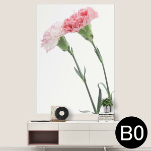 |XebJ[ |X^[ EH[XebJ[ V[XebJ[  1030mm×1456mm B0 ʐ^ tHg  CeA   wall sticker poster 012938 ̓@J[l[V@