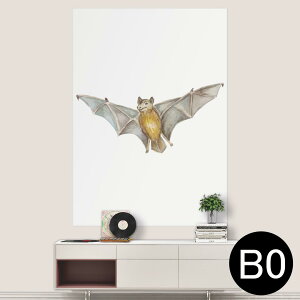 TCYIׂI|X^[ EH[XebJ[ V[XebJ[  A0 A1 A2 A3 A4 A5 B0 B1 B2 B3 B4 B5 ʐ^ tHg  CeA  wall sticker poster 033401 A[g  C H t