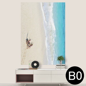 |XebJ[ |X^[ EH[XebJ[ V[XebJ[  1030mm×1456mm B0 ʐ^ tHg  CeA   wall sticker poster 014963 i@R@wi@C@C