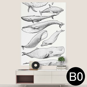 TCYIׂI|X^[ EH[XebJ[ V[XebJ[  A0 A1 A2 A3 A4 A5 B0 B1 B2 B3 B4 B5 ʐ^ tHg  CeA  wall sticker poster 033401 A[g  C H t