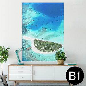 |X^[ EH[XebJ[ V[XebJ[  728×1030mm B1 ʐ^ tHg  CeA  @ wall sticker poster 001045 @C